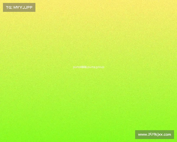 puma合作赛事 puma group