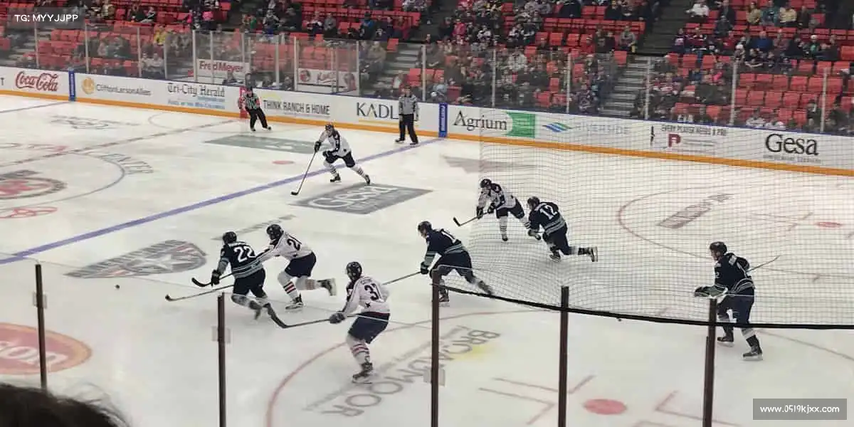 奥林匹斯之门1000倍游戏——徒步旅行，探索自然🌿